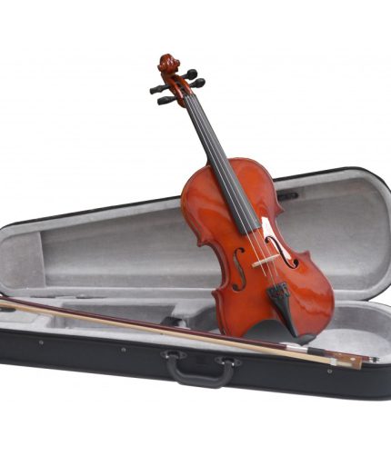 VIOLÍN 4/4 AMADEUS VA101